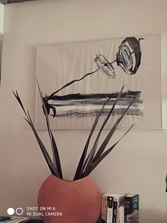 סרגוסה Habitaciones Valen מראה חיצוני תמונה